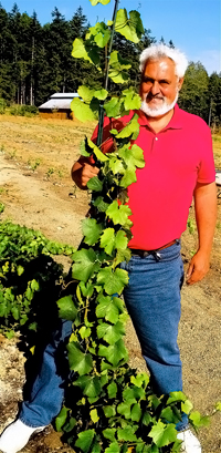 photo of max L.C. Campill de B.C.